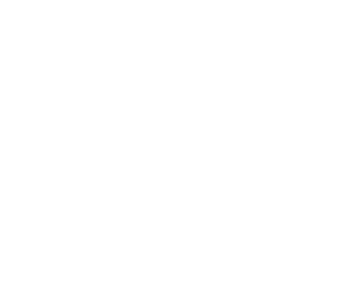 CrossFit Diversity